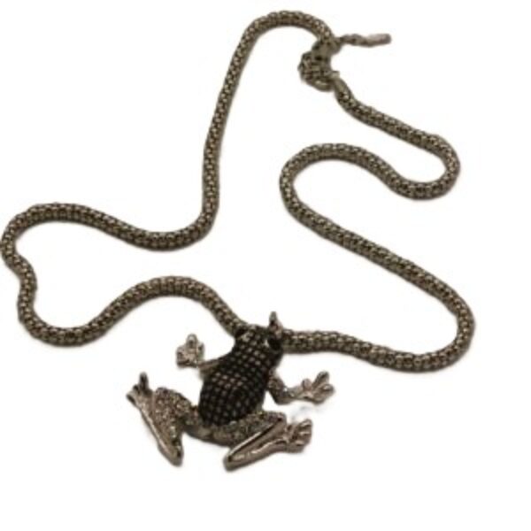 Lange ketting met zilverkleurige kikker