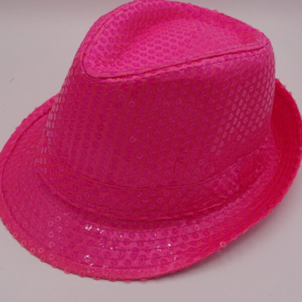 Hoed Paillet pink