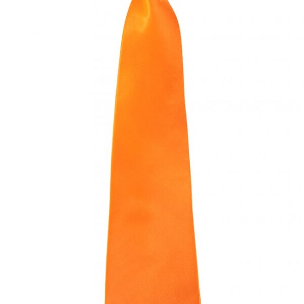 Stropdas oranje kort