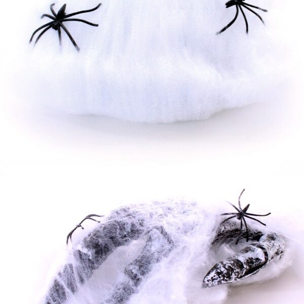 Halloween spinnenweb met spin