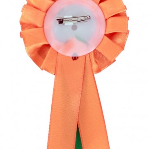 Rozet oranje/groen geboren en getogen Kreuk