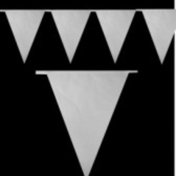 Vlaggenlijn wit 10 meter