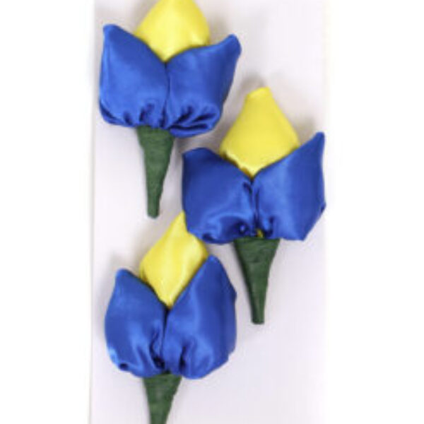 Tulpjes blauw geel per 3 verpakt