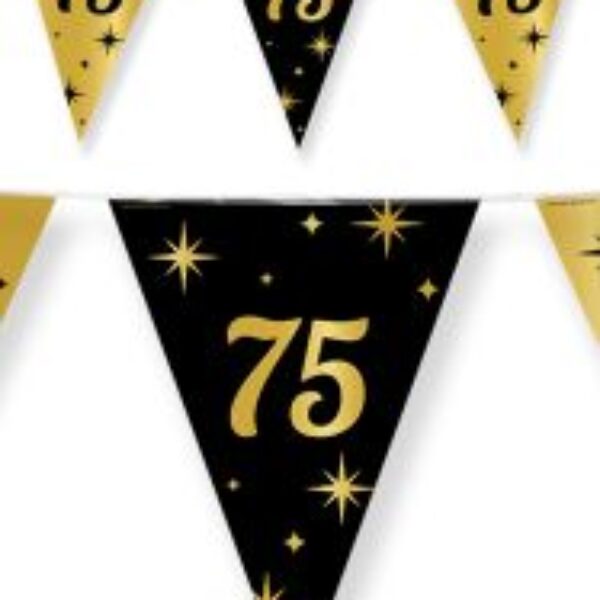 Vlaggenlijn 75 goud en zwart