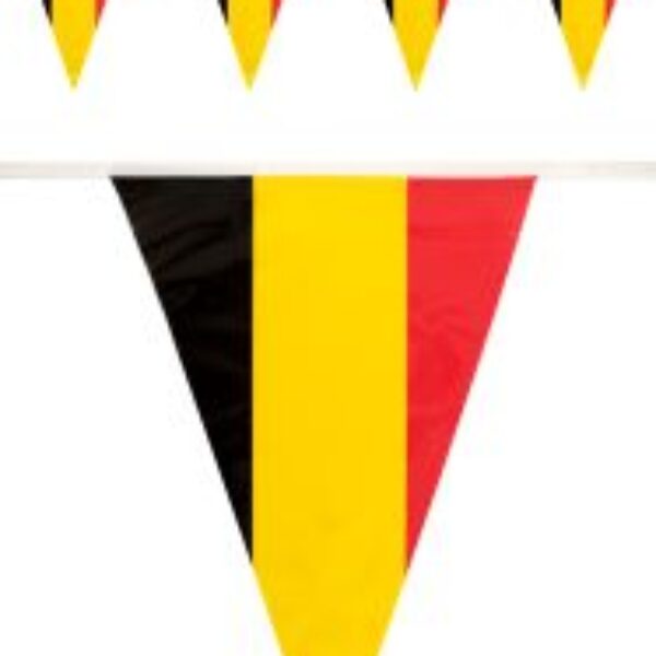 Vlaggenlijn België 10 meter